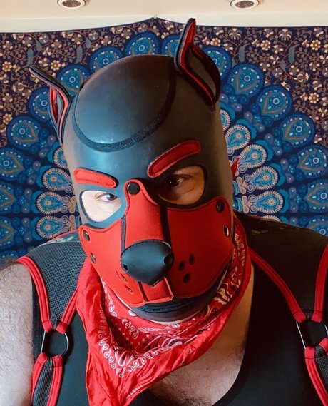 Bear Pup Gaymer top pornstar pictures