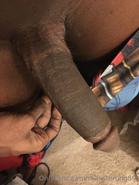 Max Sterling pornstar perfect archive