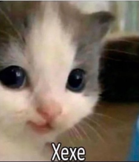 Max Rid free actress galleries