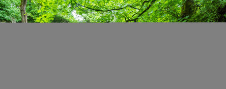 big ass ebony milf onlyfans free sexy pic