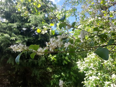 Devin_ star best pics