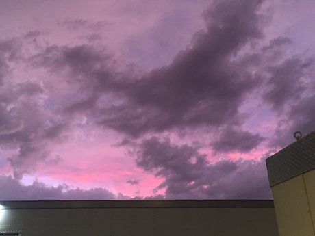 IRIS_ model pretty gallery