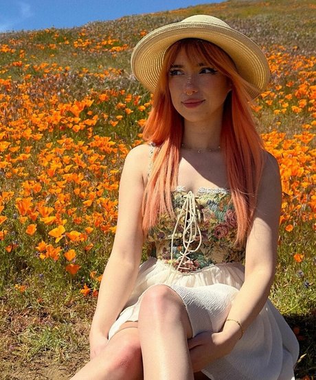 shelbygraces Photo Gallery