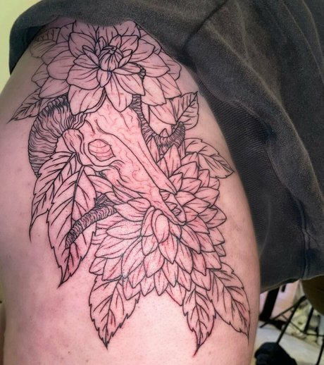 caseystreams star pornographic img