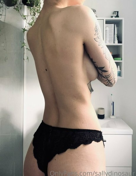 Sallydinosaur star hd picture