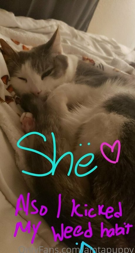 milf tits onlyfans nice picture