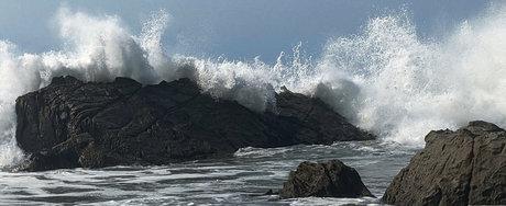 xevbellringer69 hot model image