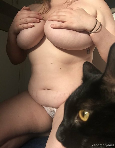 xenomorphies star exclusive img