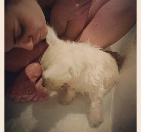 Rose And Rosie pornstar beautiful photos