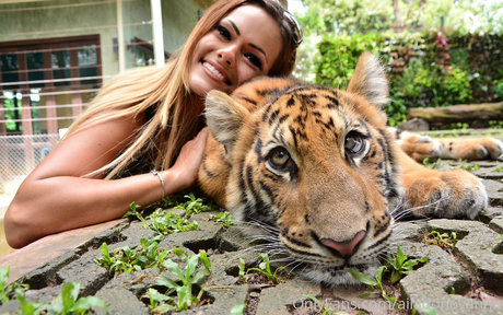 ailadonovannn sexy model img