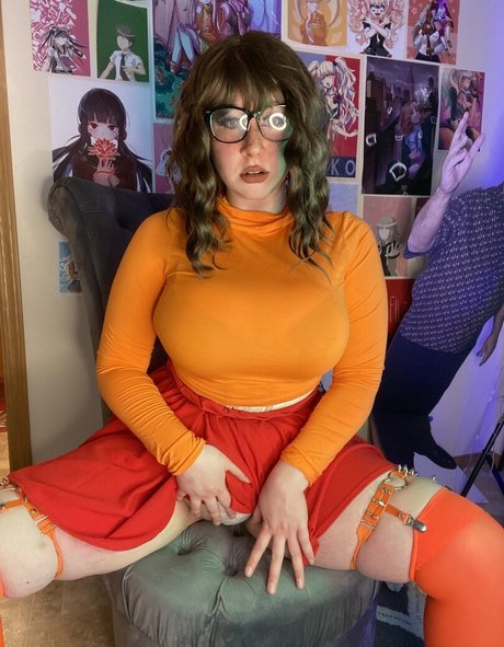 Reistrasza hd model img