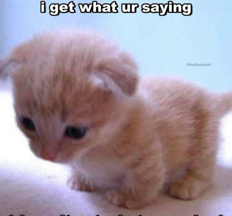 softbunnyrae pornstar beautiful archive