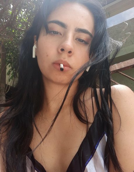 fasita high quality star photo