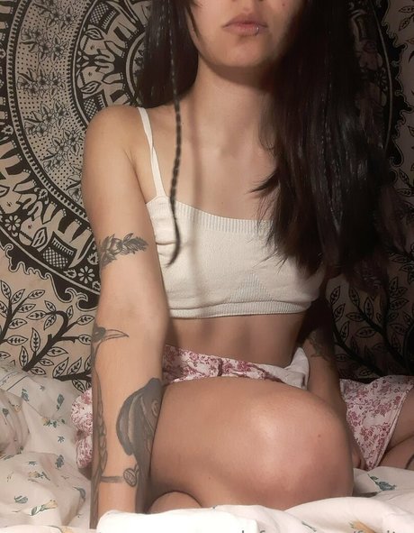 fasita nice pornstar pics