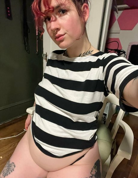 catsncake star top photos