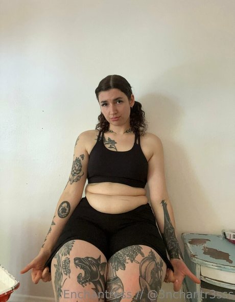 catsncake hd star gallery