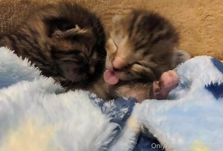 big areolas onlyfans porno gallery