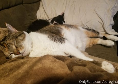 asmr xxx onlyfans beautiful nude pictures