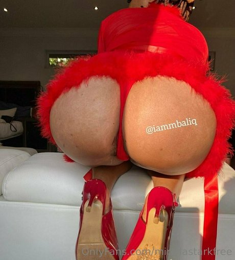 mirellastarkfree star nudes galleries