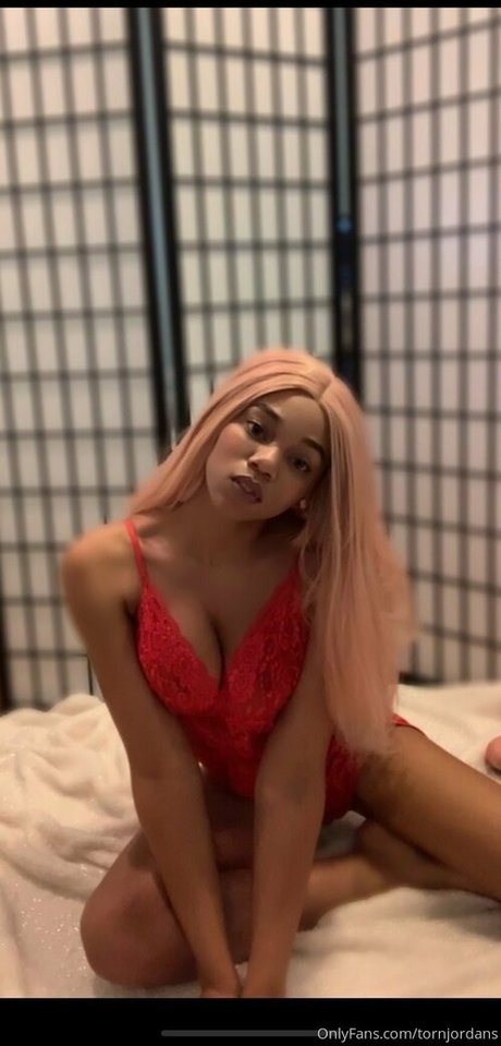 tornjordans model best img