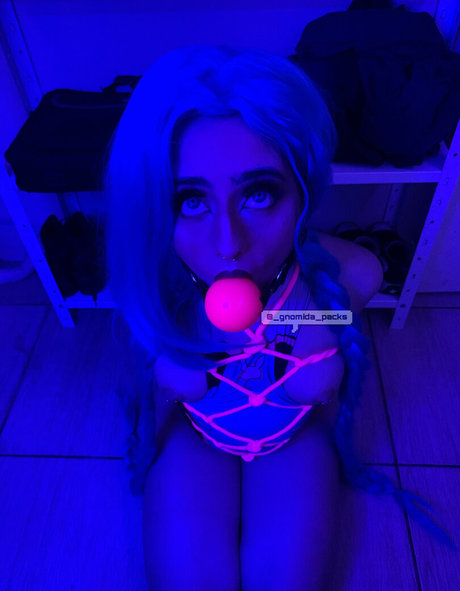 Gnomida model top photo