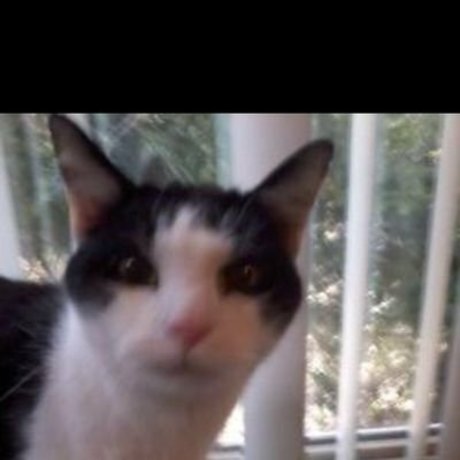 Super mario gaxelly exclusive star pics