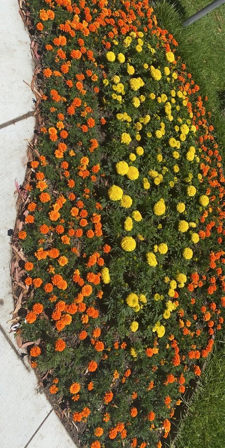 footjob onlyfans hot sexy images