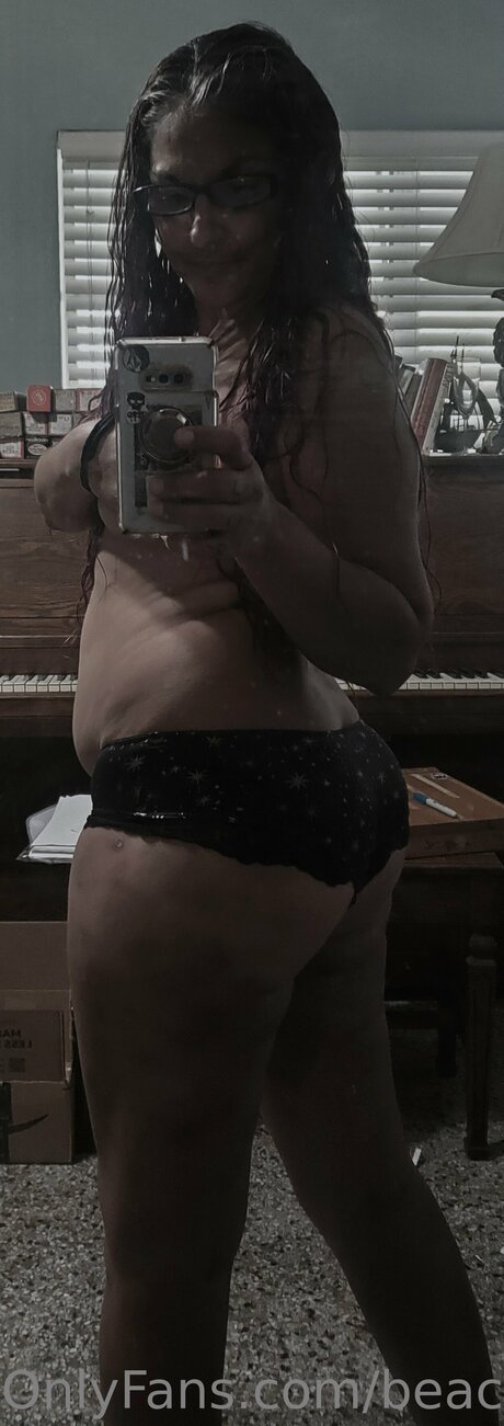 Beach Chick 321 model best gallery