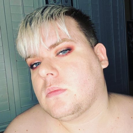 bear bear model high quality picture