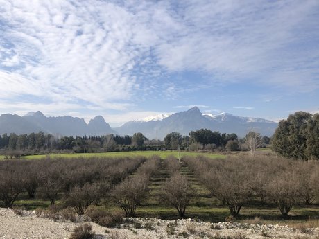 anal cum onlyfans art porn pics