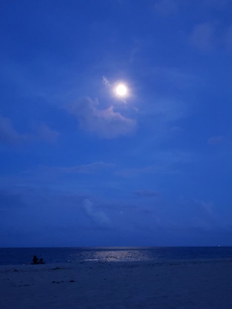 Cat Bitch sexy star galleries