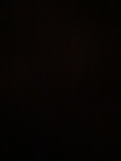 bunny xxx onlyfans free images