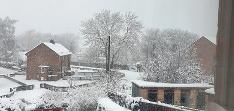 Minimoose top model gallery