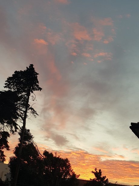 Cardoso nude star pictures