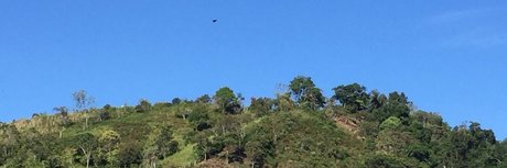 Milton Ramos star sex archive