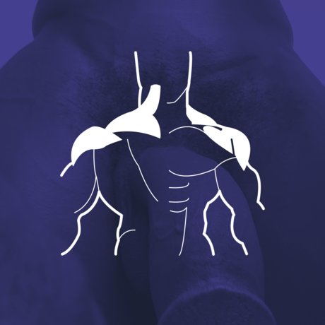 Andres Henri perfect pornstar img