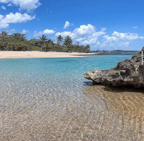 Caribbean Boy_ star art photo