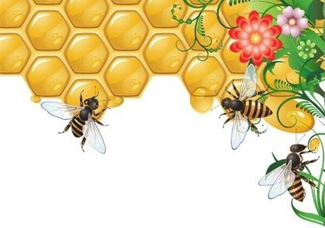 stars onlyfans naked images