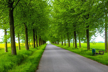 LuisasFantasyJourney top model picture