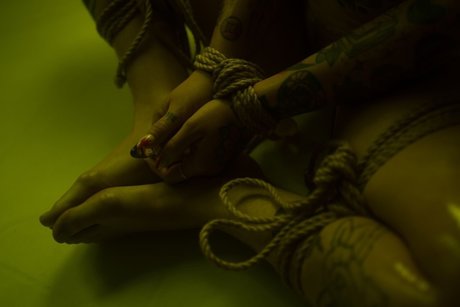 ebony bbw onlyfans pretty photos