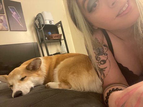 Sara Michelle_ adult model gallery