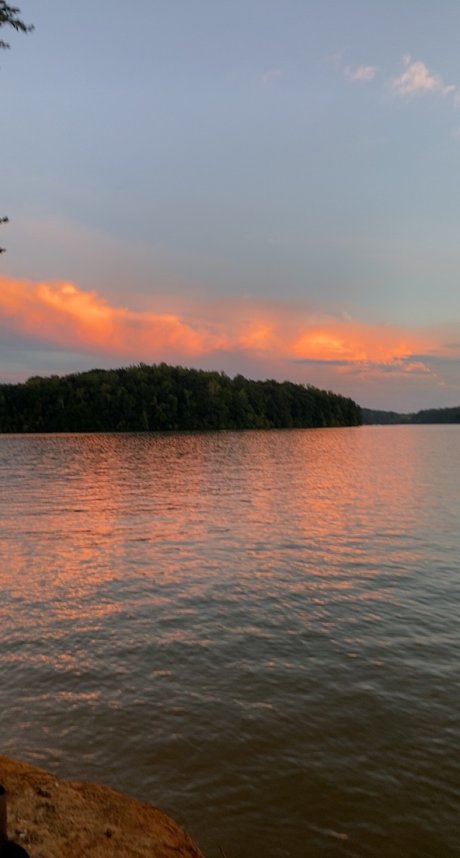 MissBehavior star xxx pic