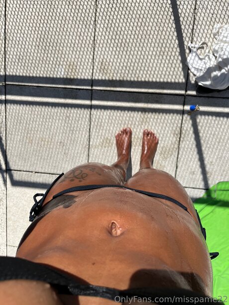 Pamela Aray_ model art picture