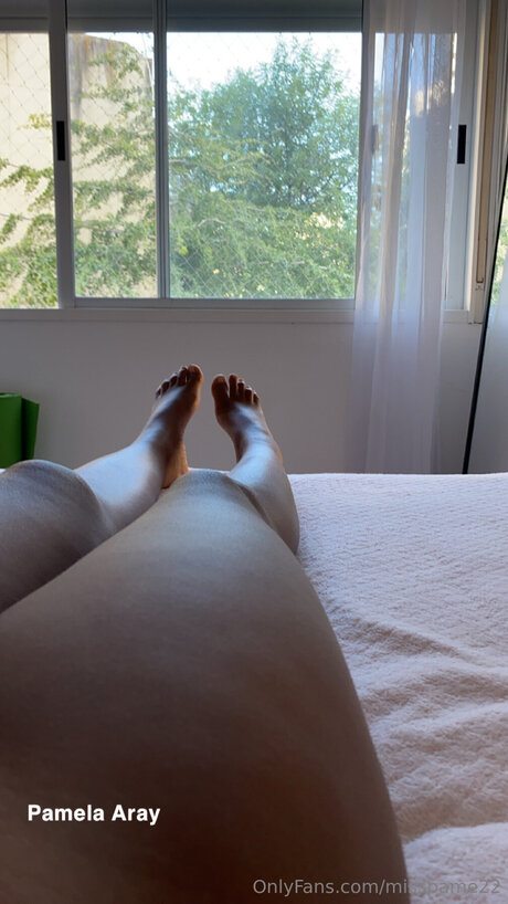 Pamela Aray_ hot model archive