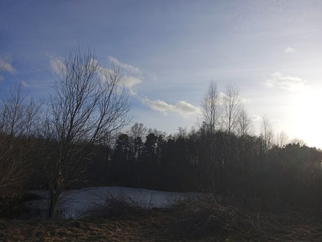 Milisixx xxx actress pics