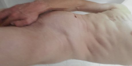 Canadian Adventurer high quality star gallery