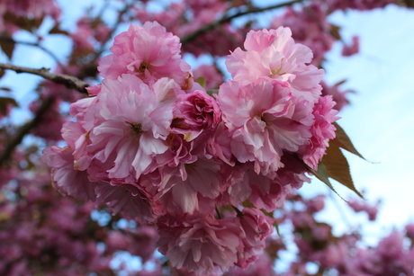 asian pantyhose onlyfans sexy naked photos