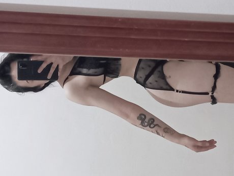 Dani21se top star img