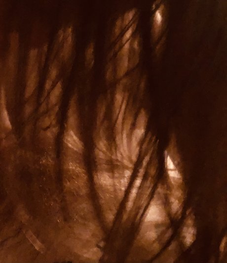 HiddenBrooke_ sex pornstar pictures