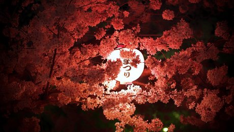 Jgleeems perfect actress galleries